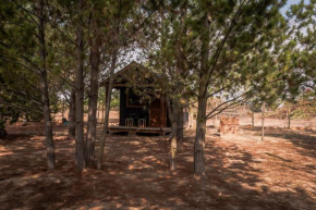 Tiny house Riveras Rentals